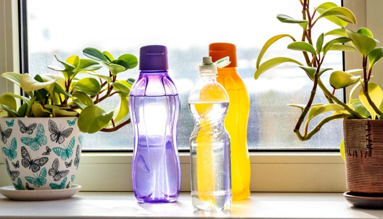 three plastic water bottles on windowsill with plants