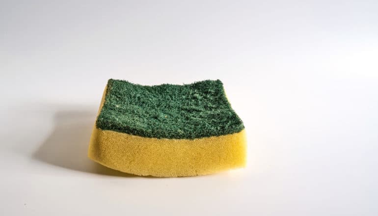 A kitchen sponge sits on a white background