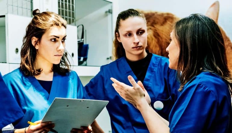 Vet students in scrubs listen to an instructor in an animal hospital