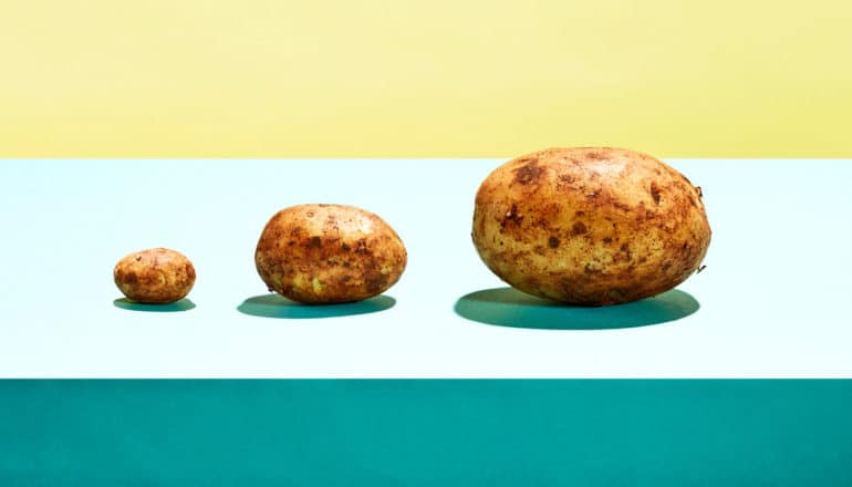 three increasingly large potatoes on yellow and teal background