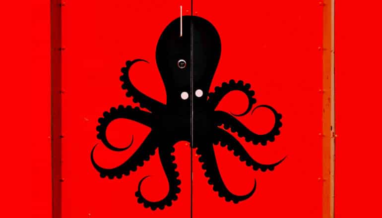 black octopus illustration on red surface