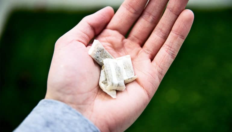 A person holds nicotine pouches in their palm. The pouches are small, rectangular, and made of white paper-like material