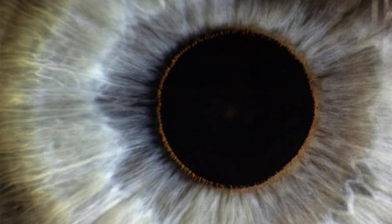 An extreme close-up on an eye shows the pupil and a blue-green iris