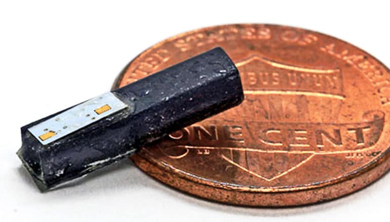 The tiny rice-grain-size implant is a black rectangular device. It sits on top of a US penny to show scale.