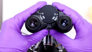 hands in purple gloves hold eye piece of microscope