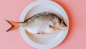 A fish on a white plate sitting on a pink background.