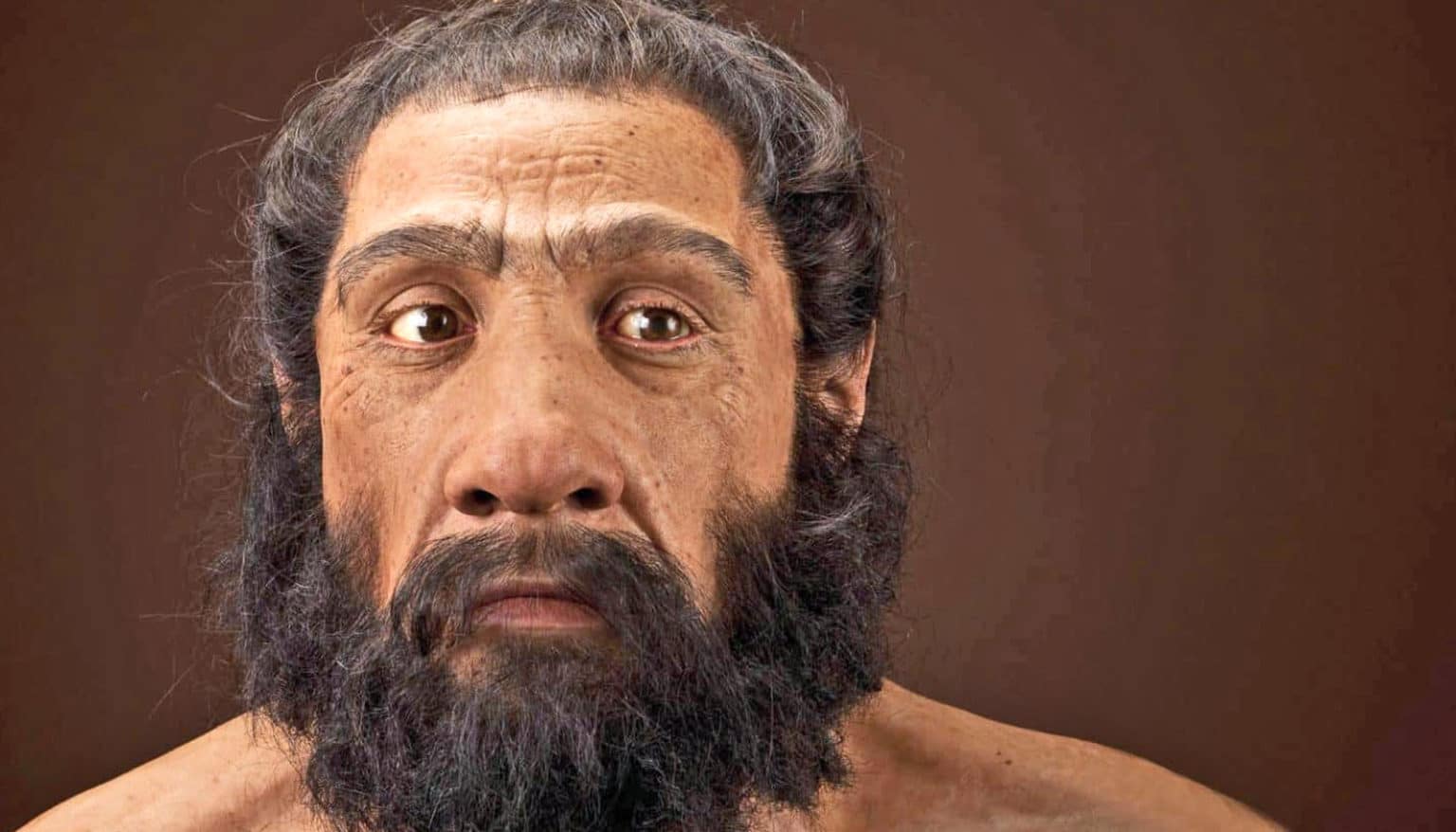 Neanderthals-humans-1600 - Futurity