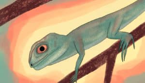 The Palacrodon looks like a green-skinned lizard with orange eyes and a large head.