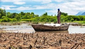 A man stands in a boat carrying bags of grain across a flooded crop field.