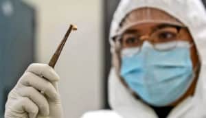 A researcher wearing a protective face mask, gown and gloves holds a tooth with a pair of tweezers.