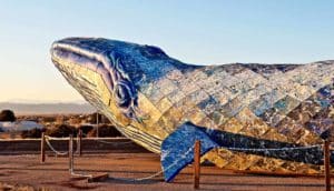 A whale statue stands on land behind a chain fence.