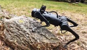 The black four legged robot climbs onto a large rock in some grass.