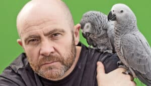 guy with two gray parrots on shoulder