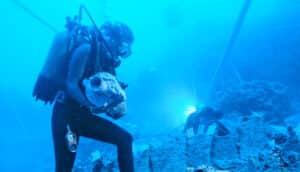 scuba diver holds object underwater