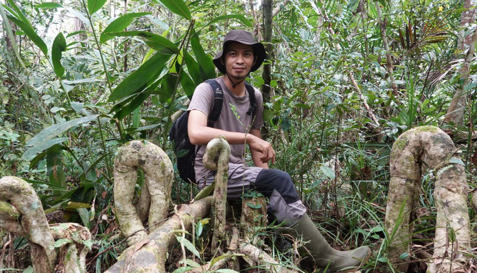 Gambut di Sumatera merupakan hal baru dalam ilmu pengetahuan