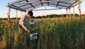 A researcher stands in tall grass with a shelter structure behind him.