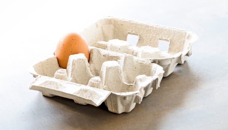 A half-carton of eggs has one egg left in it.