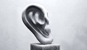 A model of a human ear sits on a foam pedestal.