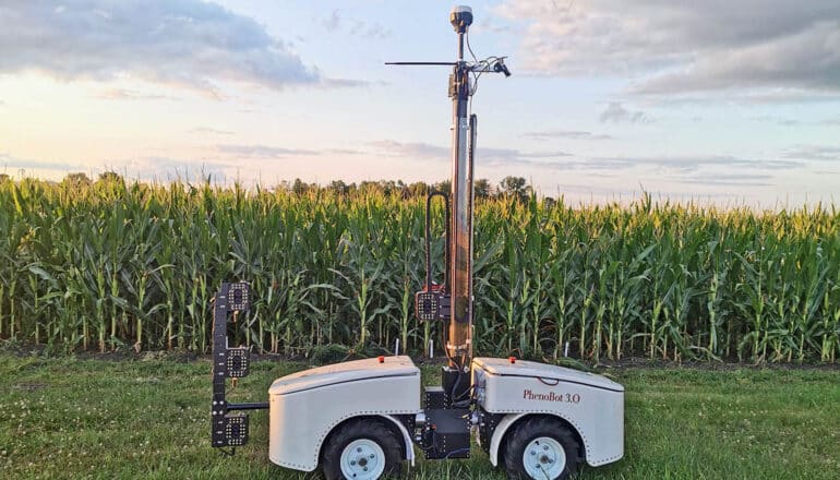 low, four-wheeled robot with vertical post in front of corn field