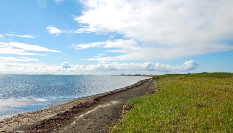 shoreline with blue sky