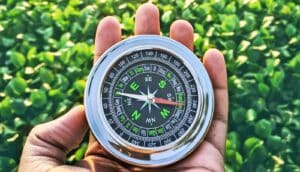 A person holds a compass in their left hand with leafy greens on the ground behind it.