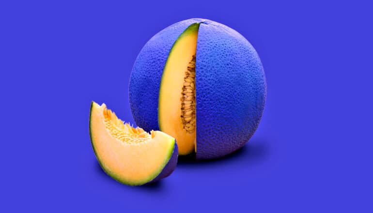 slice out of cantaloupe painted dark purple like background