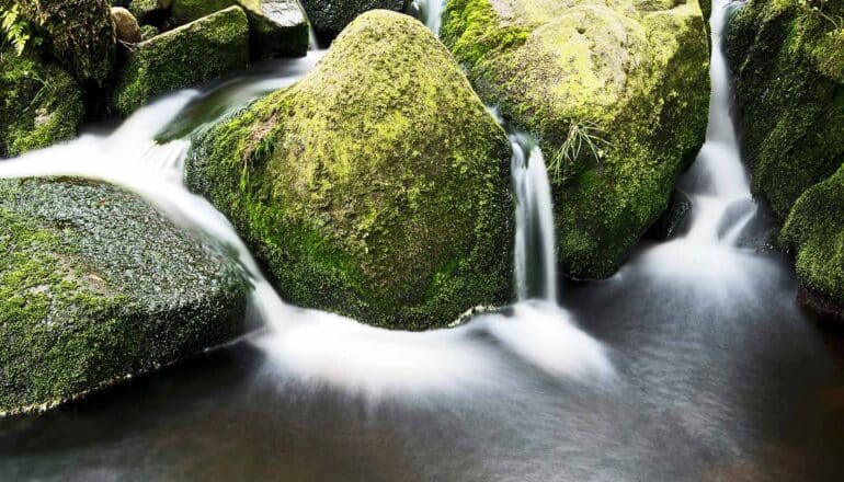 long-exposure photo of water flowing over mossy river rocks