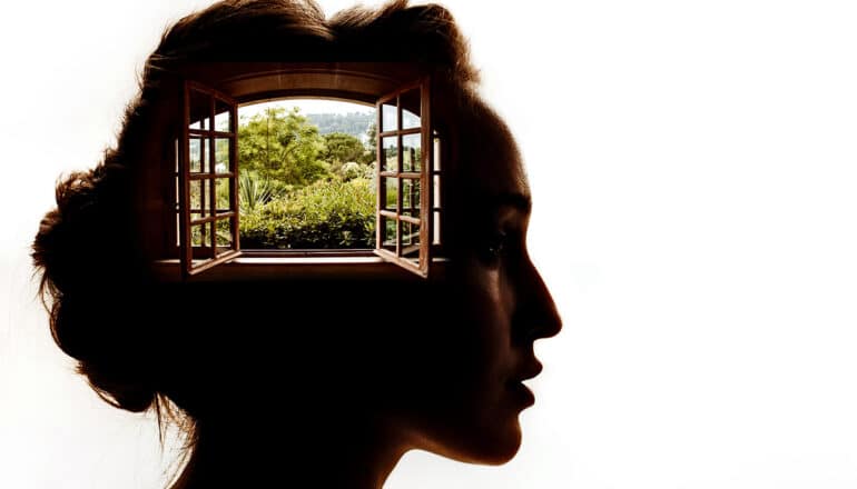 A woman's silhouette in profile with a large window overlayed on the side of her head.