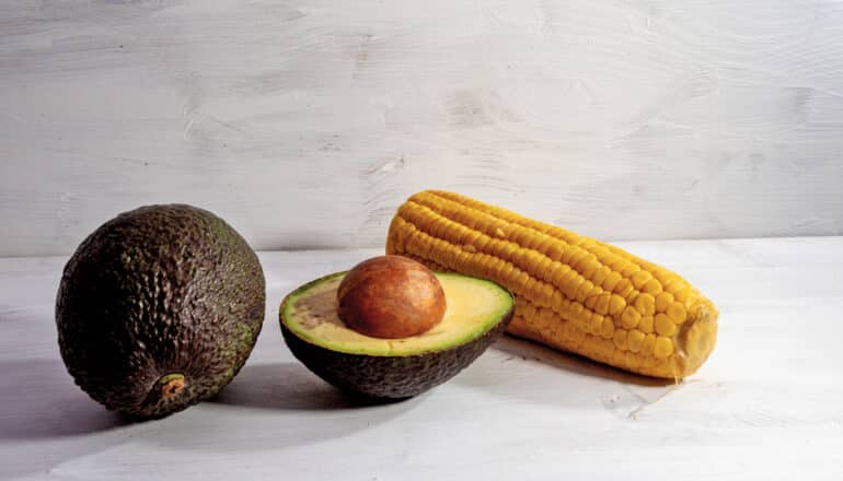 avocado and corn on white surface