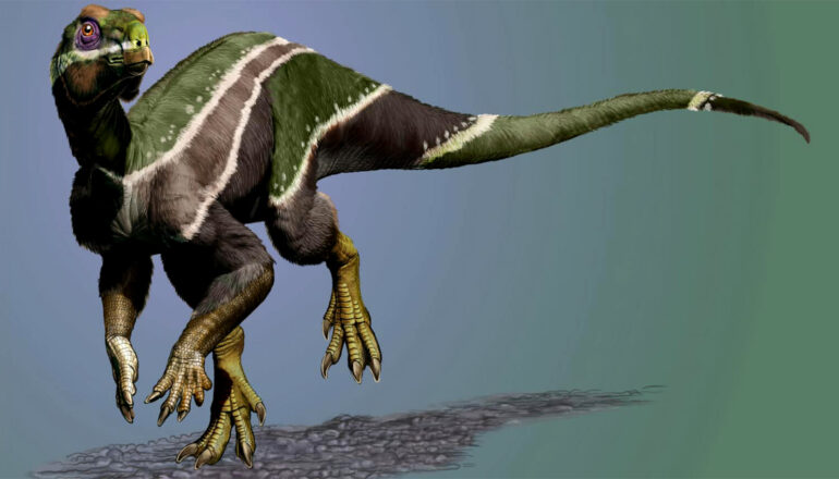 A computer-generated illustration of the Iani dinosaur shows it walking on two legs. It has white stripes on brown and green skin.