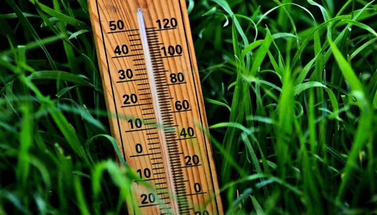 wooden thermometer in grass