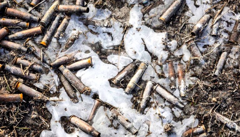 bullet casings in ice