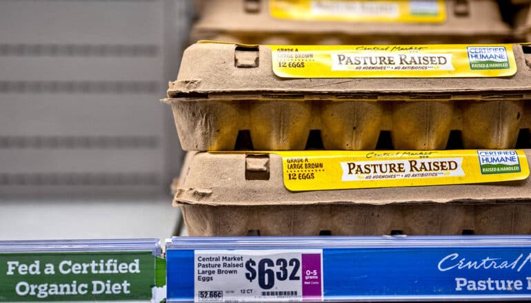 cartons of eggs with labels like "pasture raised" "no hormones" and "no antibiotics"