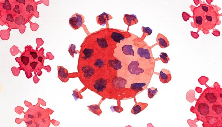 Watercolor paintings of the Sars-Cov-2 virus in red and purple.