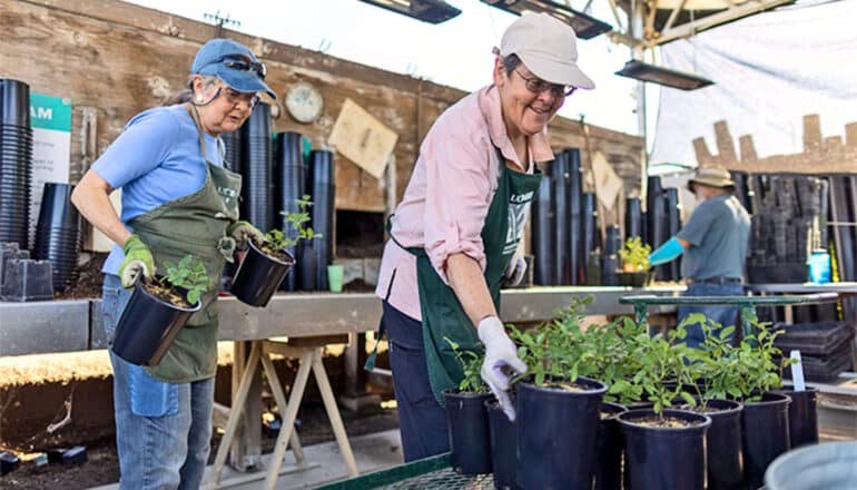 Two women move potted plants at a nursery.