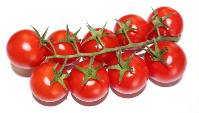 cherry tomatoes on vine on white