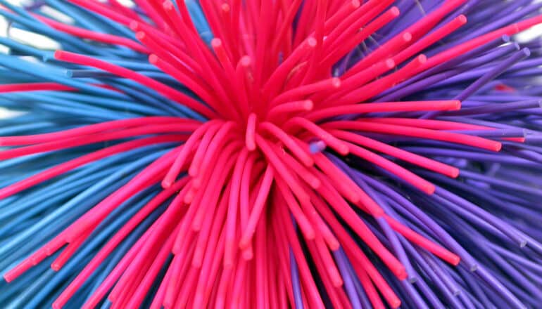 close-up of koosh ball's many strings