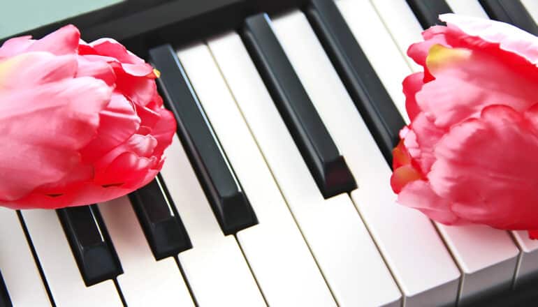 pink flowers on piano keys