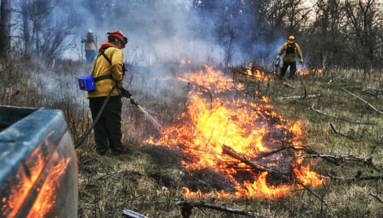 Firefighters put out a fire burning brown grasses.