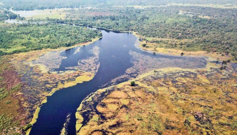 aerial view of river