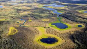 aerial view of small lakes in arctic