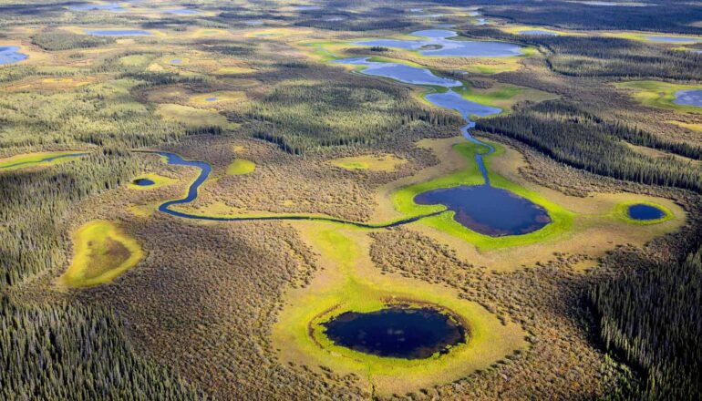 aerial view of small lakes in arctic