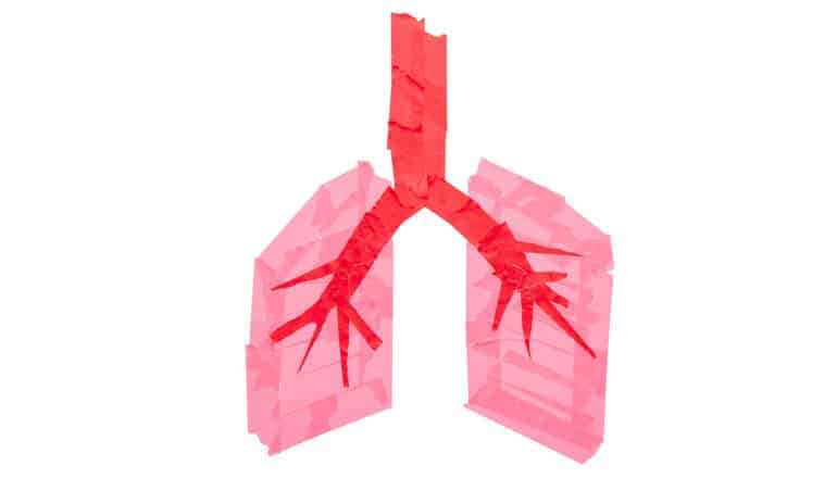 Lungs made of colorful red tape on a white background.