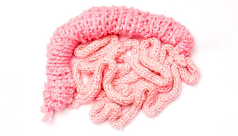 Pink crocheted intestines on a white background.