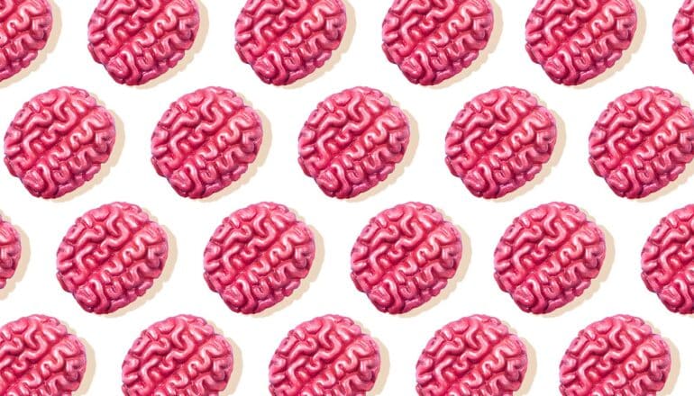 Rows of small pink brain models on a white background.