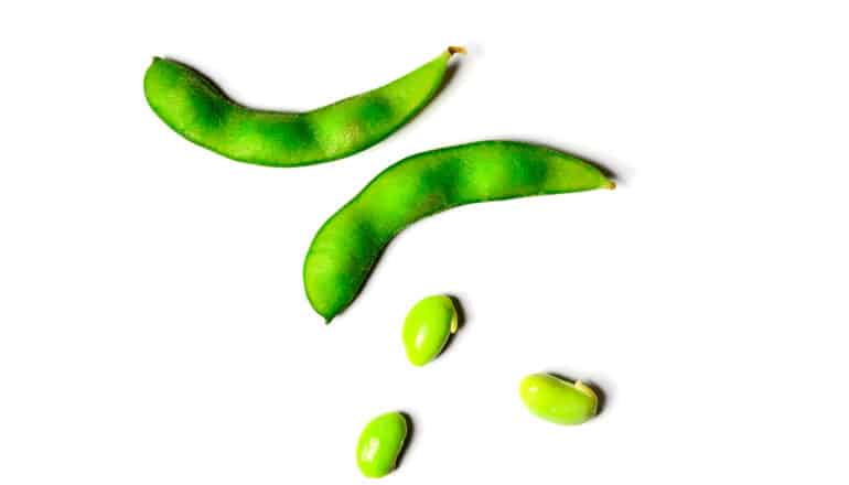 Bright green soybeans on a white background.