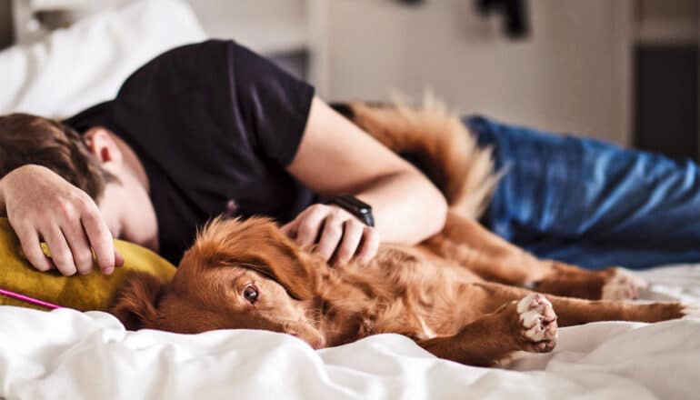 A person sleeps in bed next to a dog.