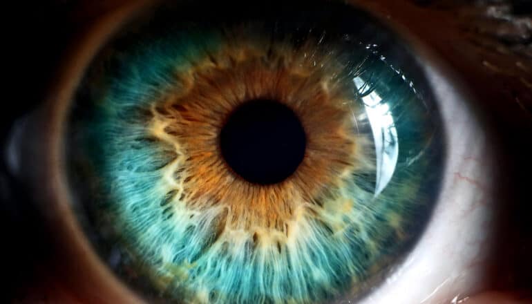 A close-up shot of a person's eye.