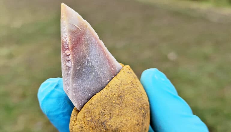 A researcher wearing blue gloves holds the sharp stone tool from a base made of the adhesive material.