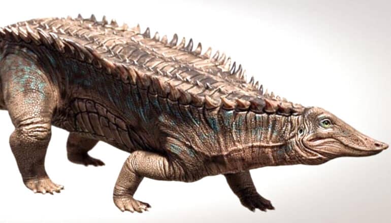 The crocodile ancestor has spiny armor on its back and a long bill-like face.